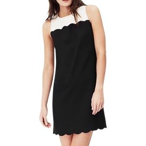 J Crew Scalloped Dress with White Collar/Trim